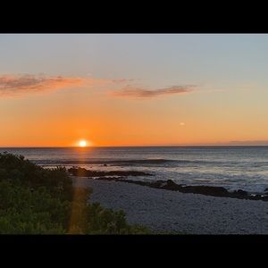 Meet your Posher, Daniela